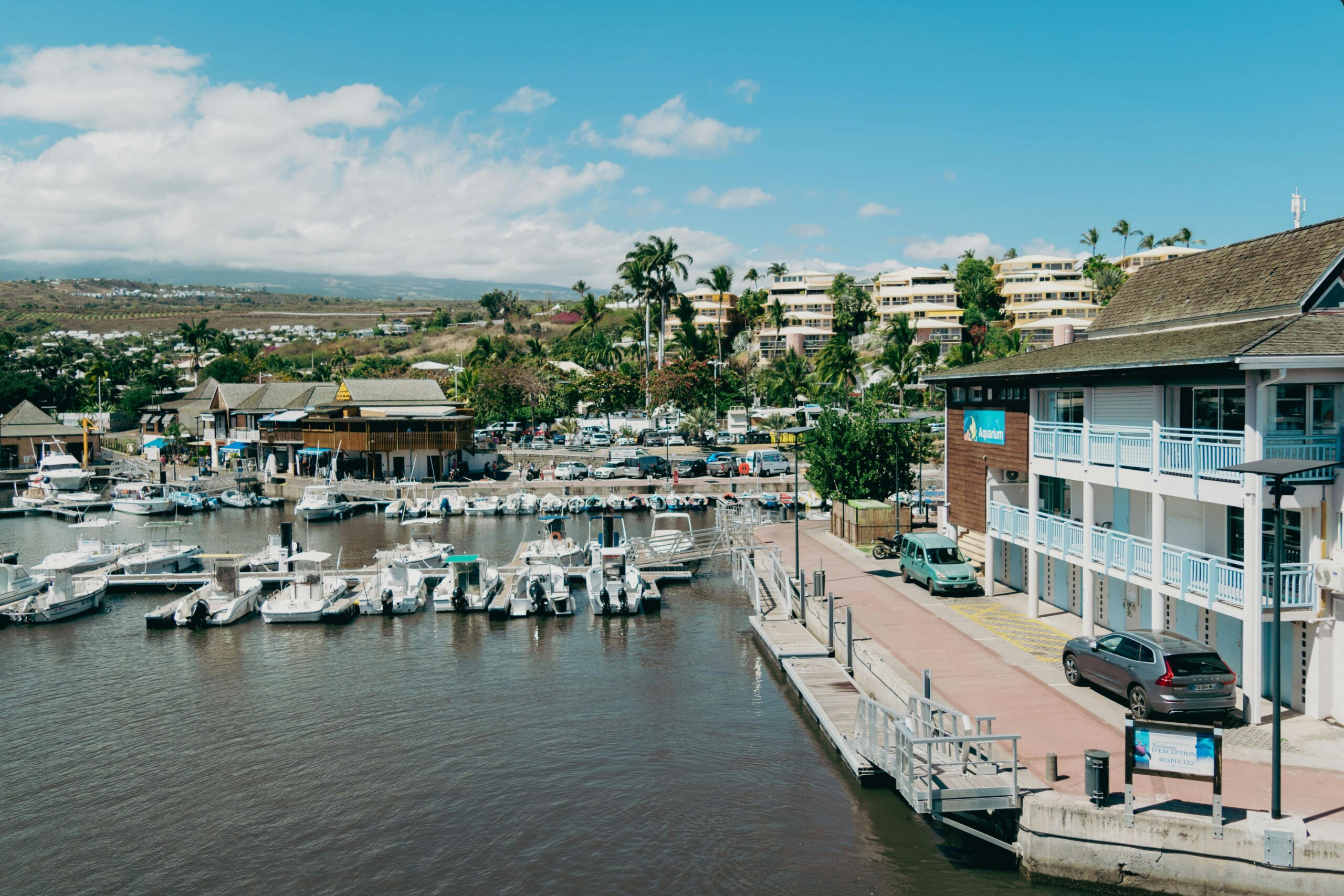 Picturesque marina in La Réunion with boats, buildings, and palm trees under a clear blue sky.